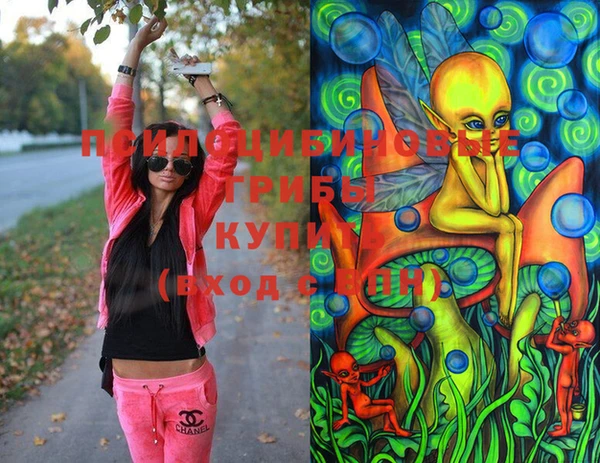 молекула духа Вязники