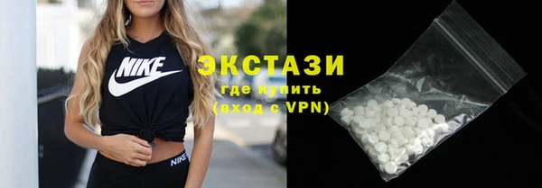 индика Горнозаводск