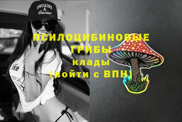 бошки Вязьма