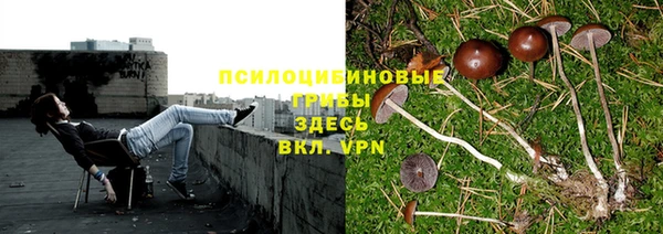 молекула духа Вязники