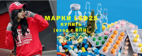 индика Горнозаводск