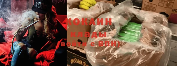 индика Горнозаводск