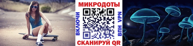 Галлюциногенные грибы Psilocybe Пикалёво